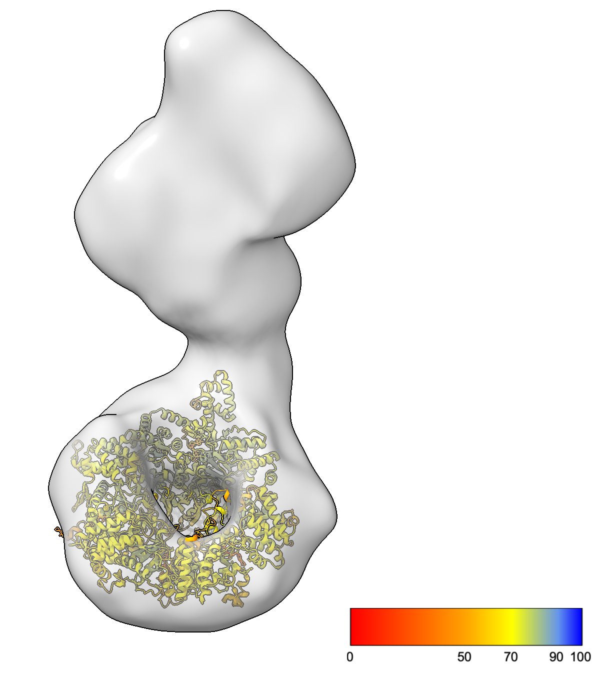 AlphaFold3 모델과 맵